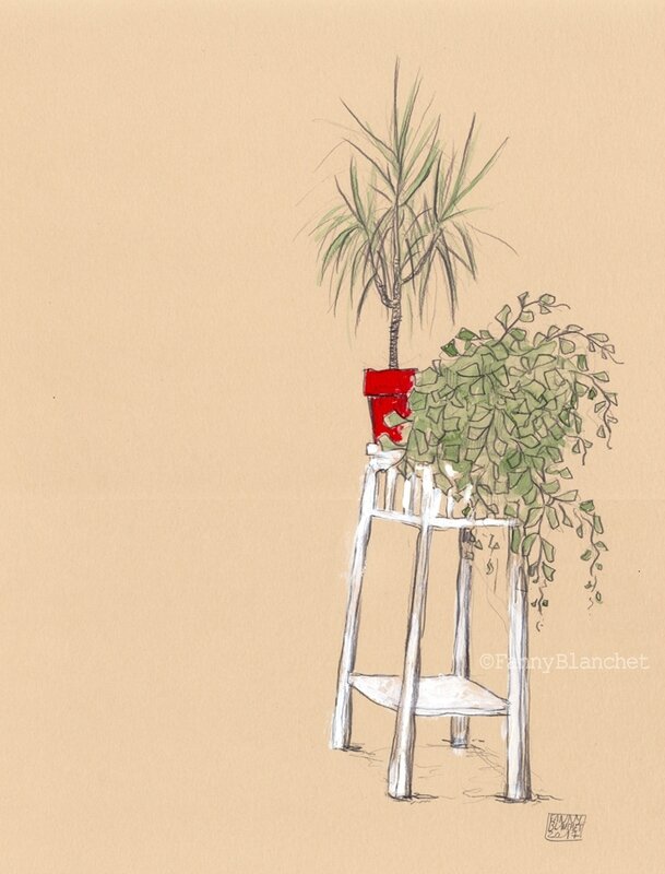 plantes
