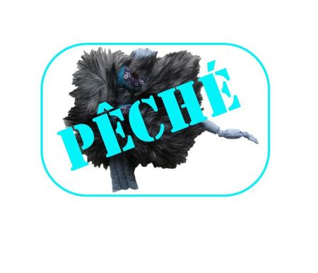72pêché