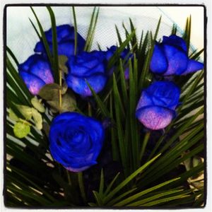 Bouquet_de_roses_bleues