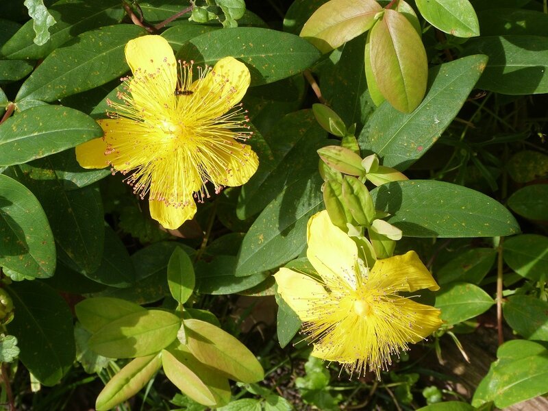 P1130555