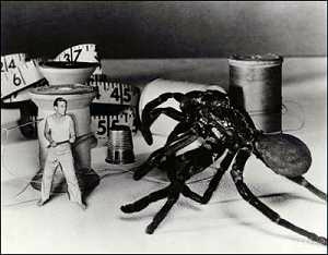 L-homme-qui-retrecit--1957