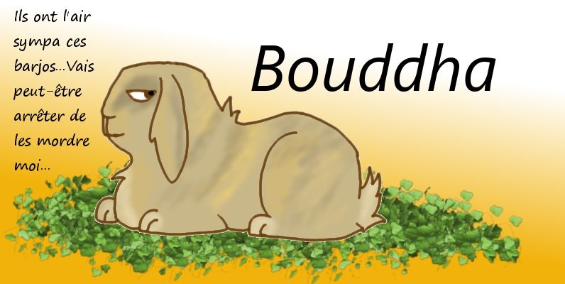 Bouddha Le Lapin Waloo Et Bouh