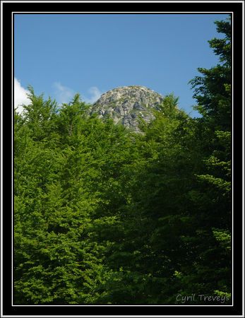 P1430080