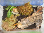 DSC07000