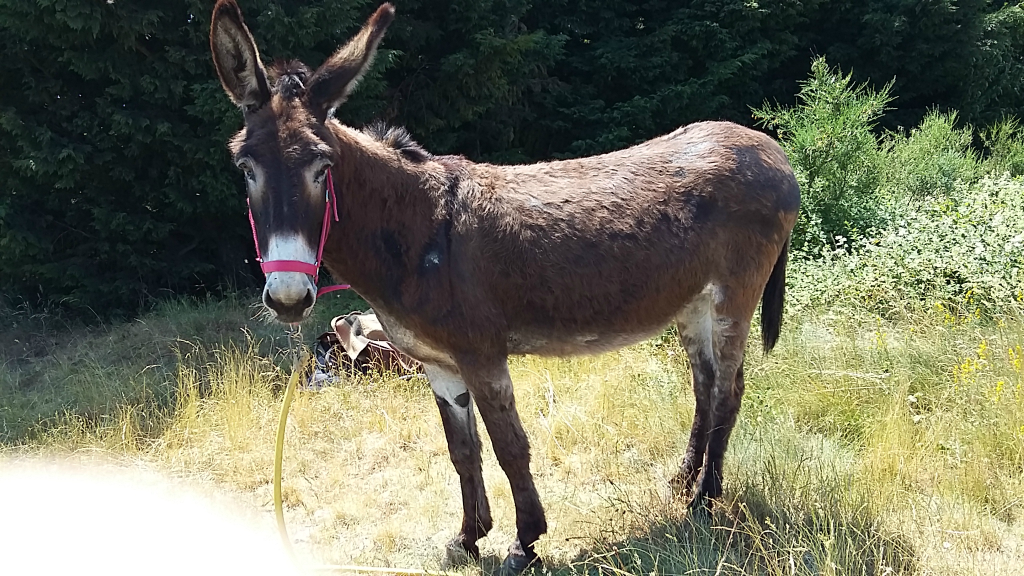 rencontre a saint andre des eaux