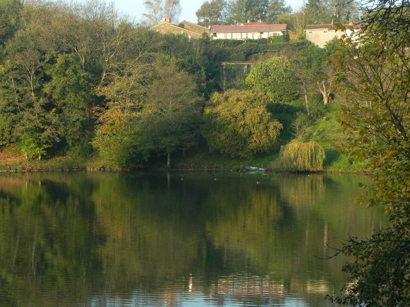 DSCN7282
