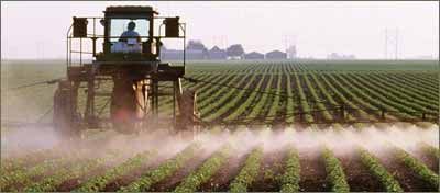 Agriculture_pesticides