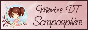 scrapo_dt