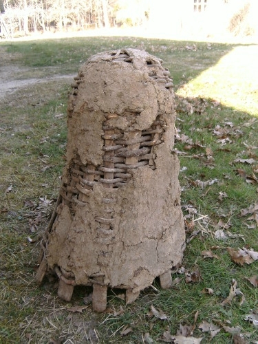 Photo-ruche-Arue-Landes