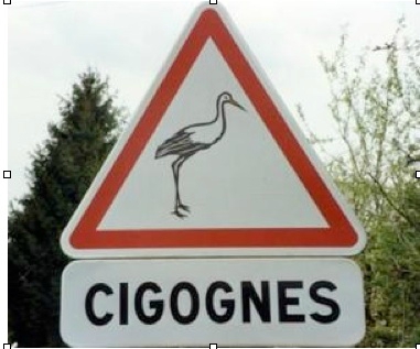 cigogne