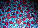 DSCN1691