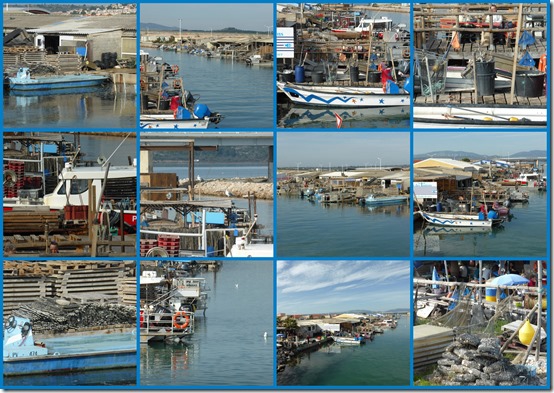 Port Leucate nov 20161