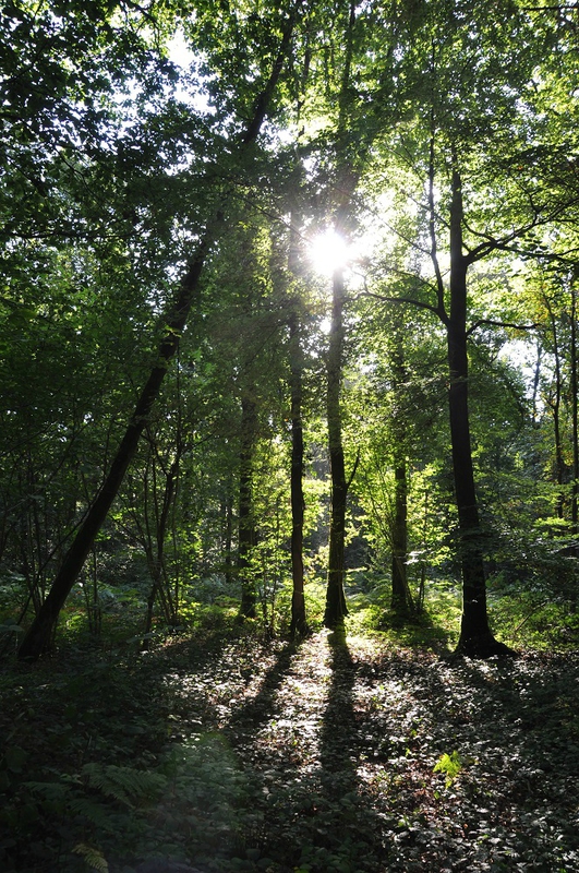 DSC_8108