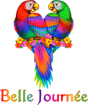 belle journée 1 perroquets (nathaelia