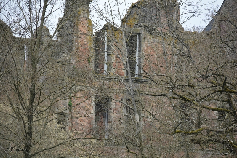 DSC_2679