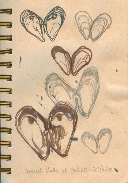 musselshells