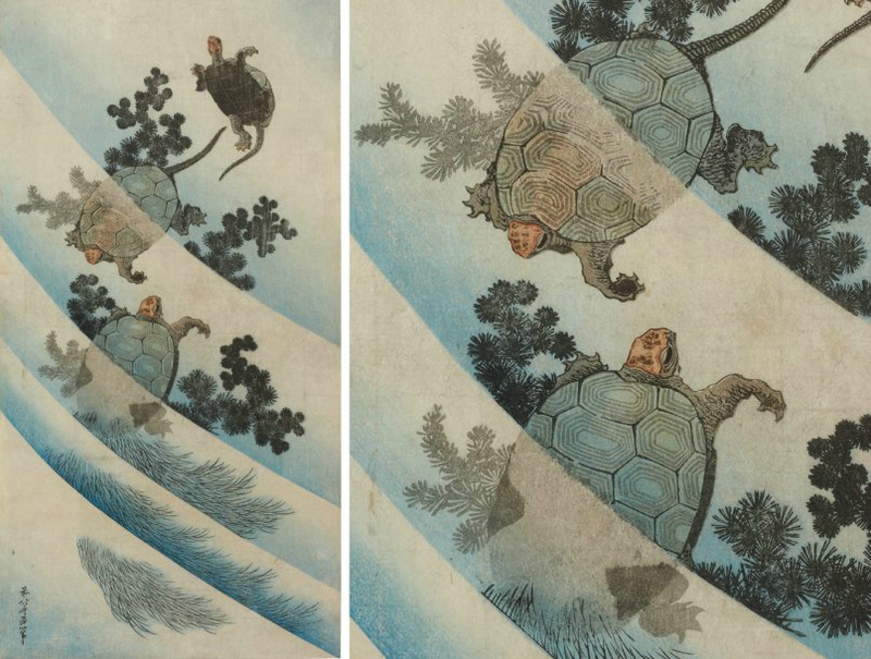 Katushika Hokusai Trois tortues d'eau