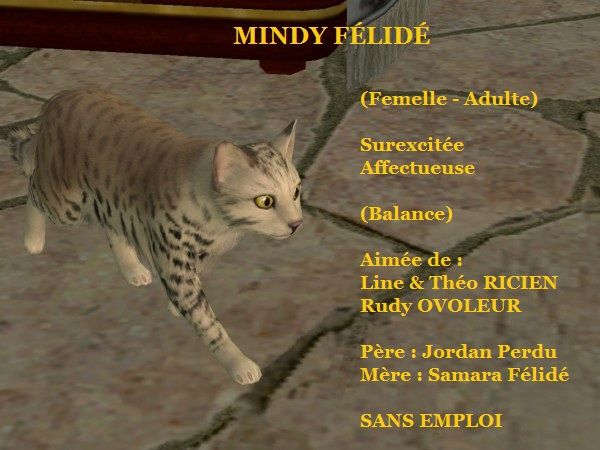 MINDY FELIDE
