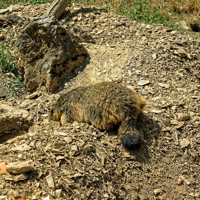 IMG_5960_DxO