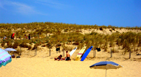 DSC00889b