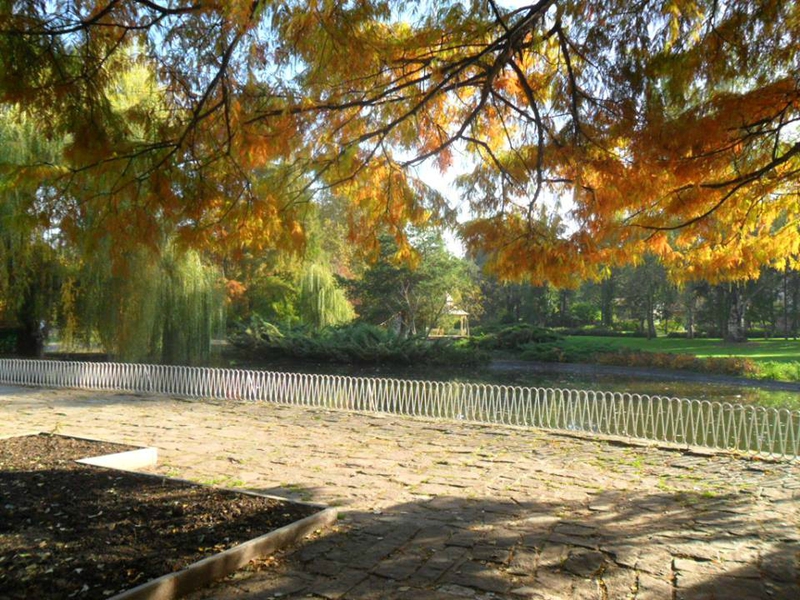 Un parc aux couleurs de l'automne ensoleillé (24/10/2013)