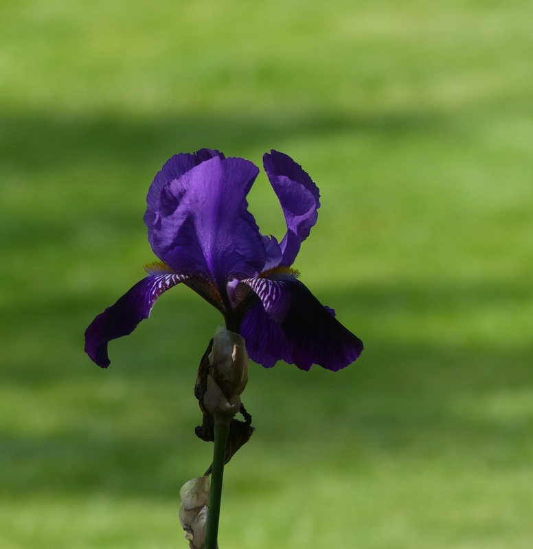 P1650736
