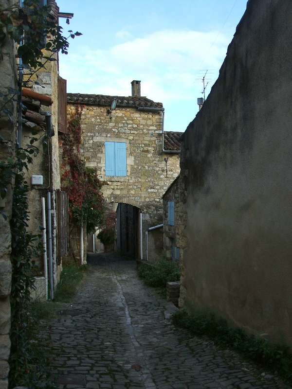 DSCF4431