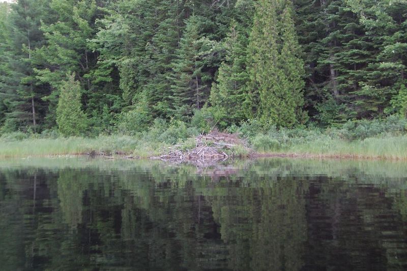 rencontre en mauricie