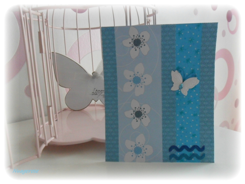carte papillon (1)