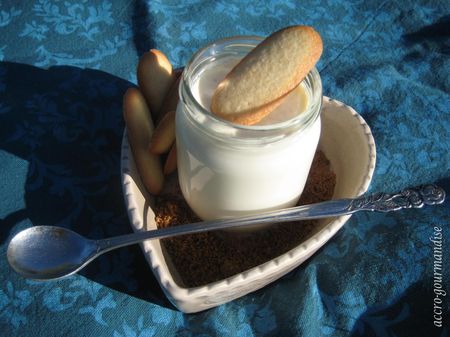 LOT DE 3 - ALSA - Mon yaourt maison onctueux - Ferments lactiques pour  préparation de yaourts -4x2g