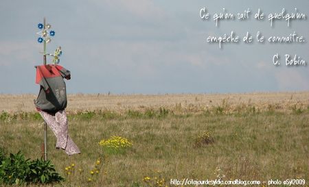 2011_A_CON