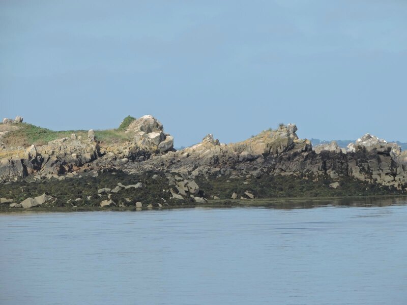_copie-0_DSCN9086