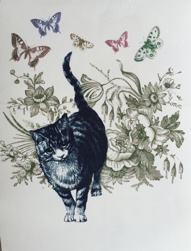 chat et papillons