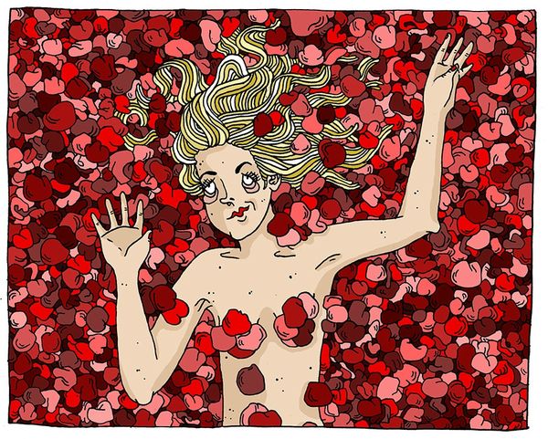 american beauty