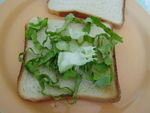 sandwich__7_