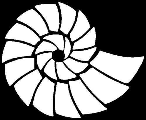 shell01