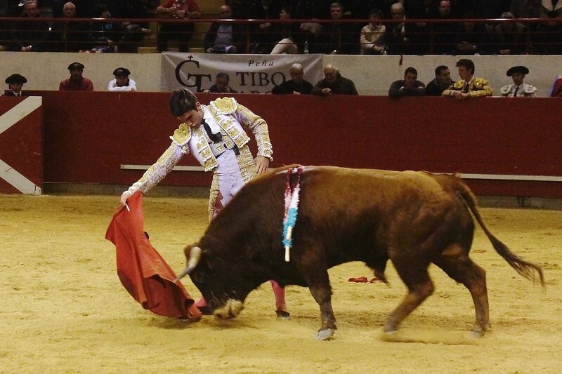 Click para Ver : Novillada Mixta en Arzacq 22/02/2015