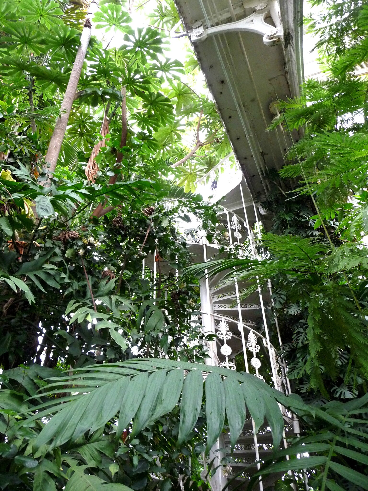 Palm House à Kew
