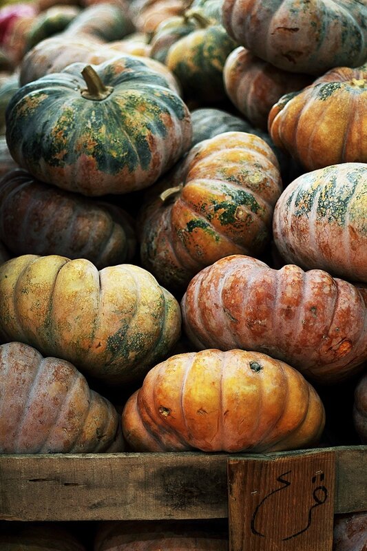 courge musquee
