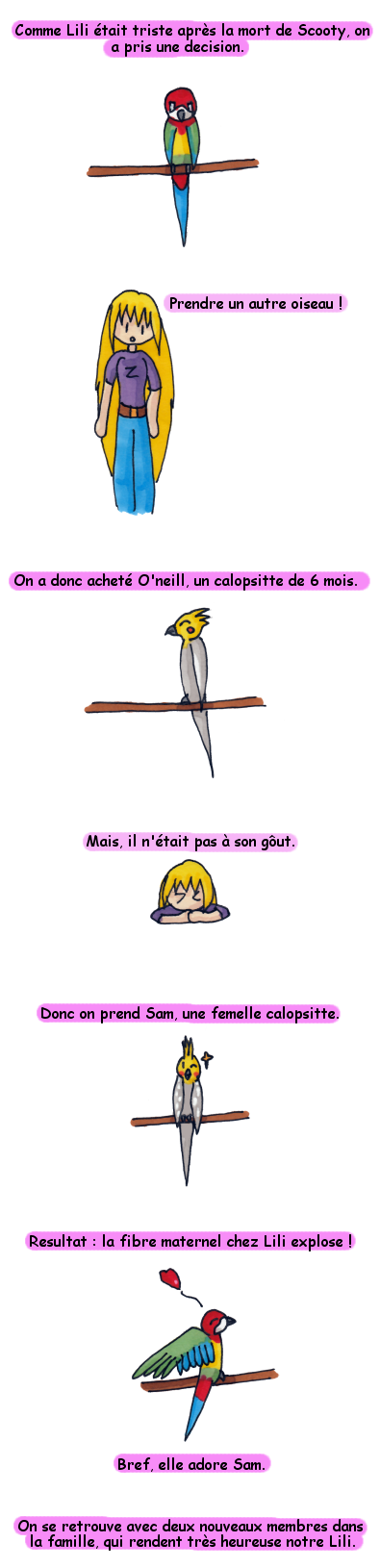 sametoneill