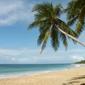 Voyage en Martinique, décembre 2007
