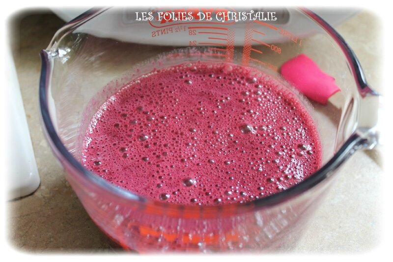 Fruits rouges curd 3