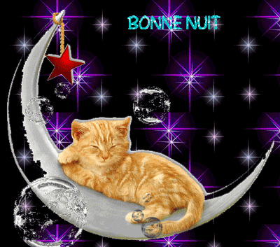 b_nuit_chat_lune_brille_FLyne_BPat