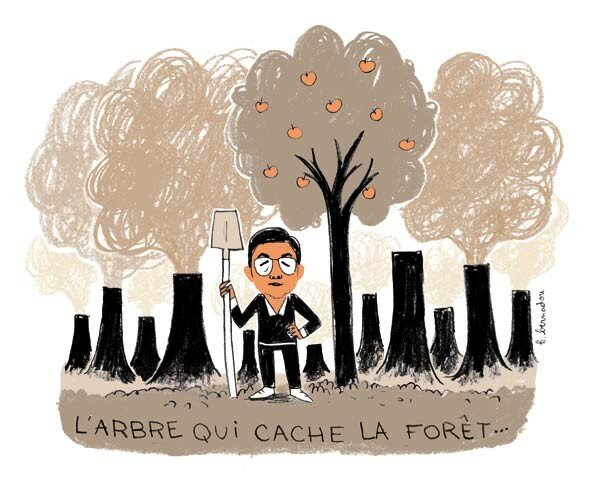 L_arbre_qui_cache_la_for_t___Karine_Bernadou