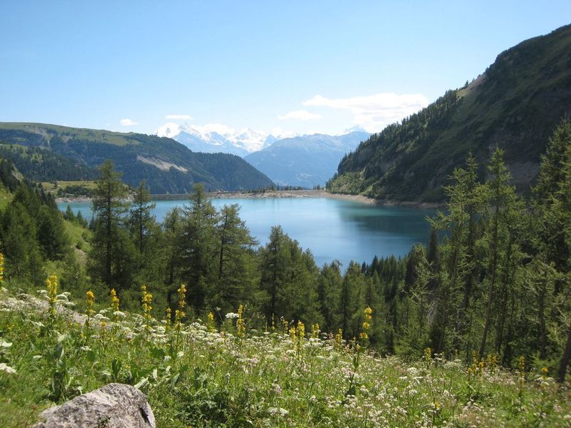Lac de Zeuzier, VS, Suisse En vert, à l'endroit...
