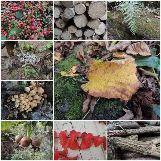 automne