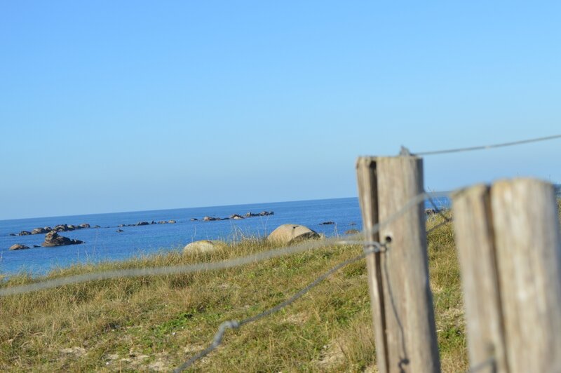 DSC_0405