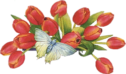fleur147