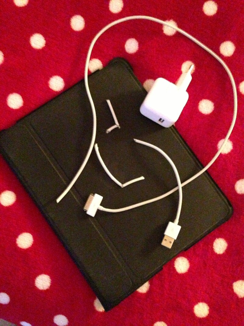 iPad___bunny