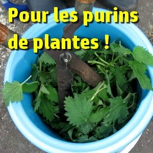 Comment Faire Le Purin De Plantes Et Pourquoi Purin D Ortie Purin De Consoude Purin De Prele Etc Association Neoules En Fleurs